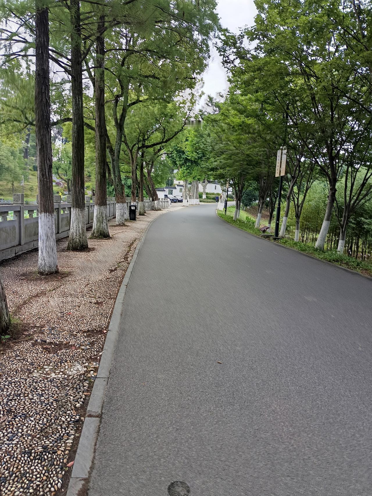 寻找时代笔杆子中午睡午觉做了一个梦，梦见自己小时候去山上放牛的情景，梦见父亲和弟