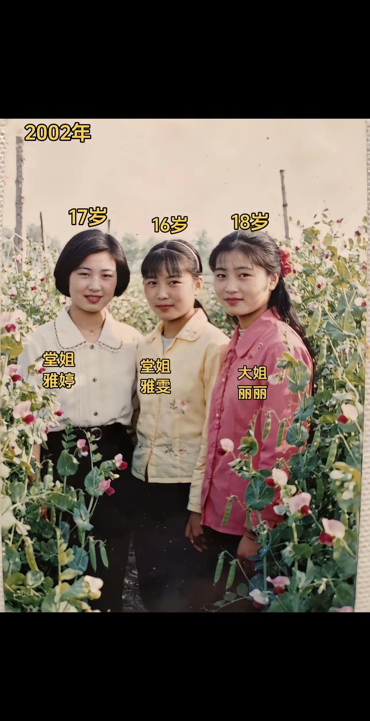 十六十七八，
村中三朵花。
丛中照张相，
青春美无瑕。