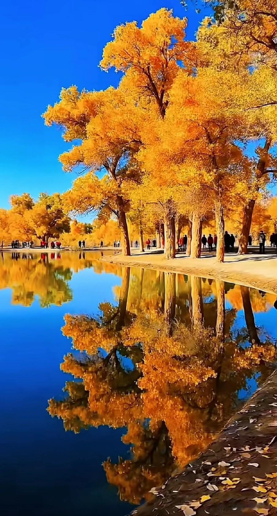 胃癌后的生活，想不到今天吃饭又中招了，撑到了，不舒服…
      中午的员工餐