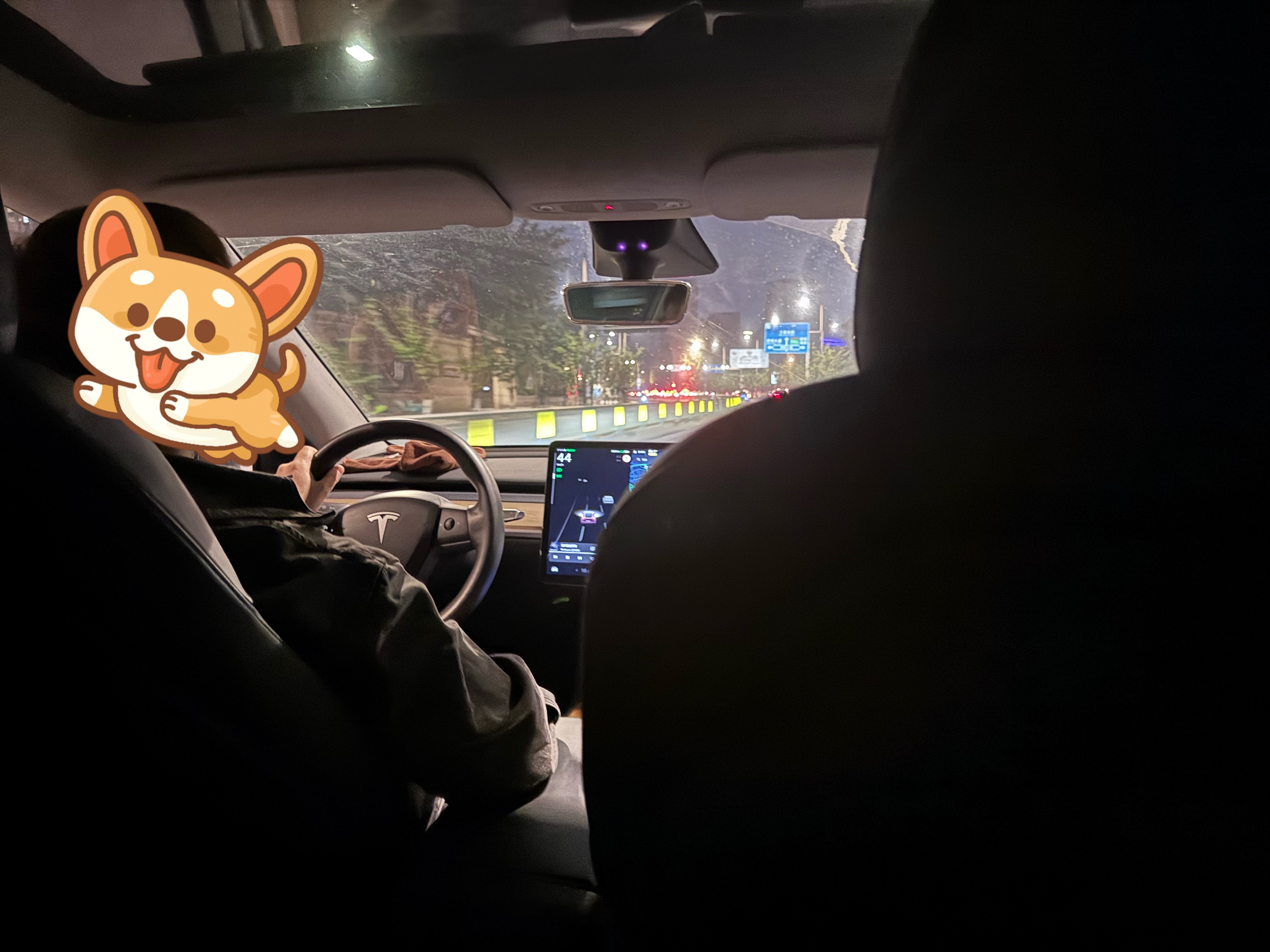 打车打到一辆老款Model Y，悬架是真运动，但感觉有点散，可能公里数大了，之前