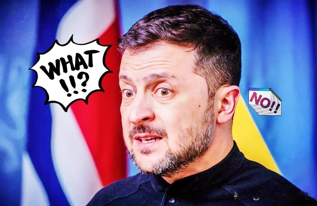 刚刚得知
泽连斯基宣布了！

当地时间12月11日，乌克兰的泽连斯基整了波大的：