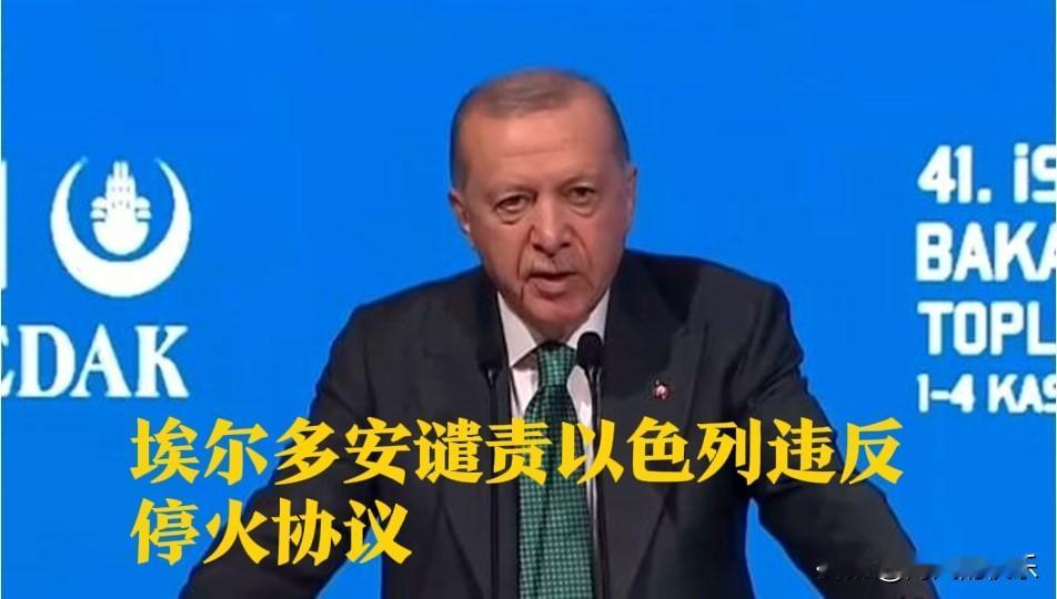 埃尔多安谴责以色列违反停火协议

   据外媒报道当地时间11月3日，土耳其总统