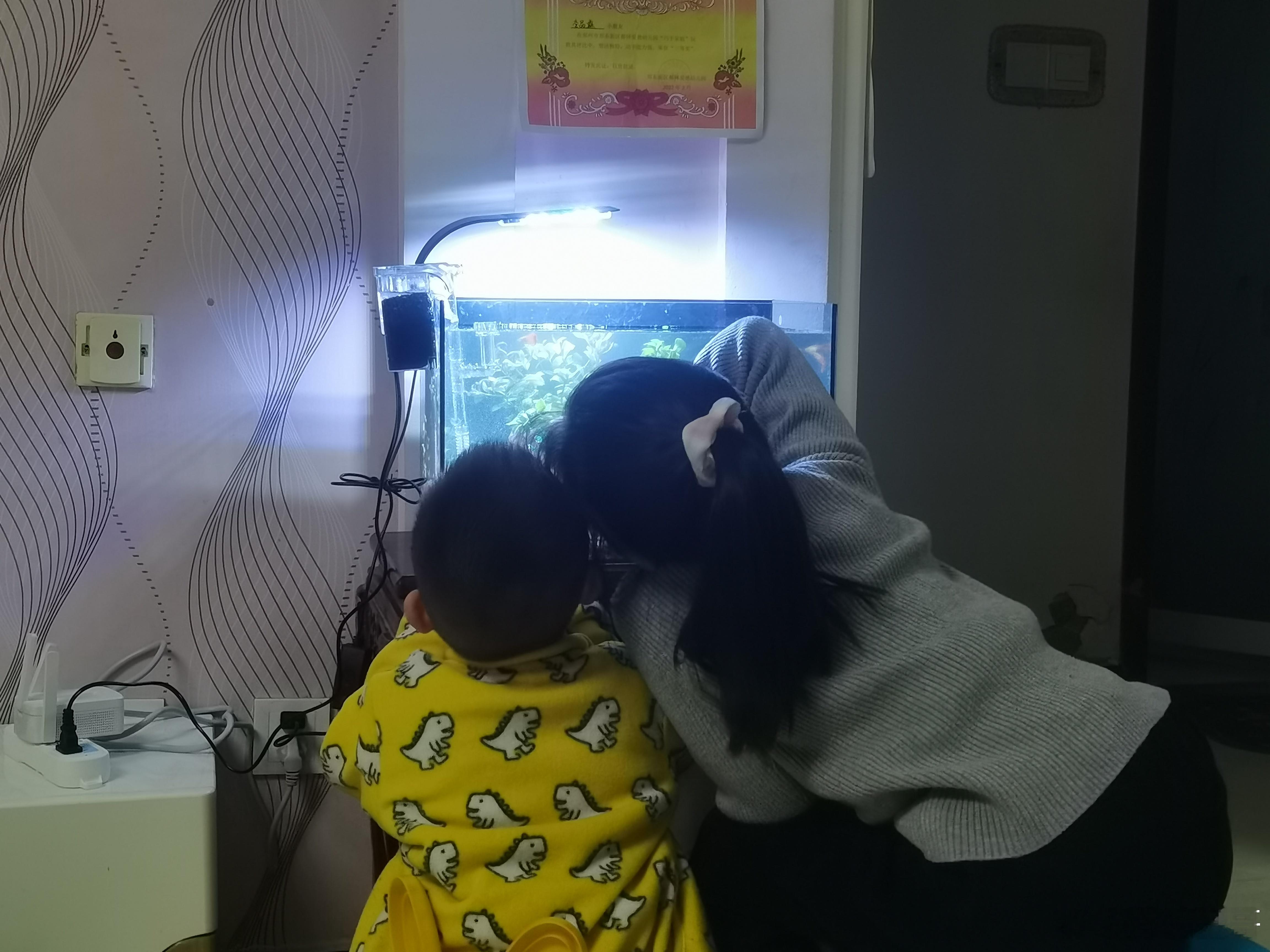 开缸大吉两个孩子再也不抢着玩手机了