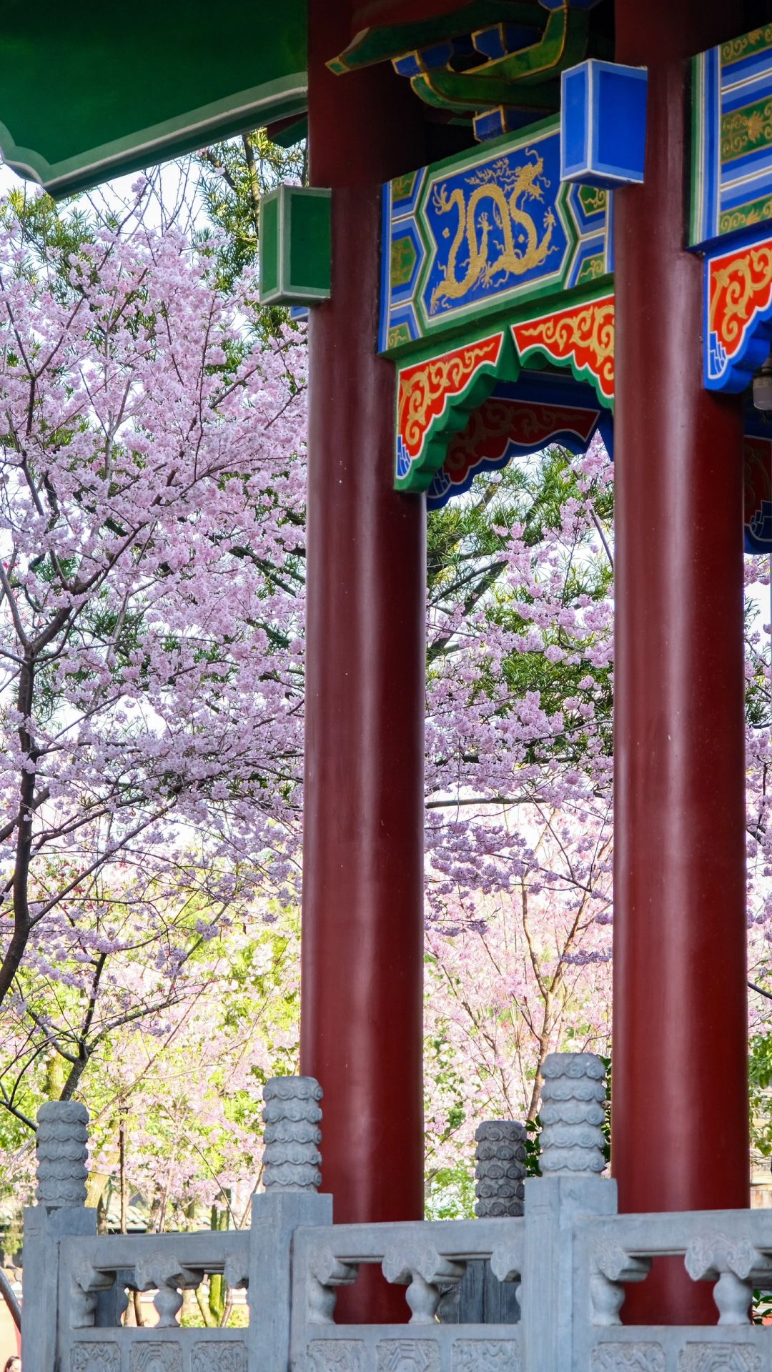 鹰潭龙虎山天师府攻略，打卡《一人之下》