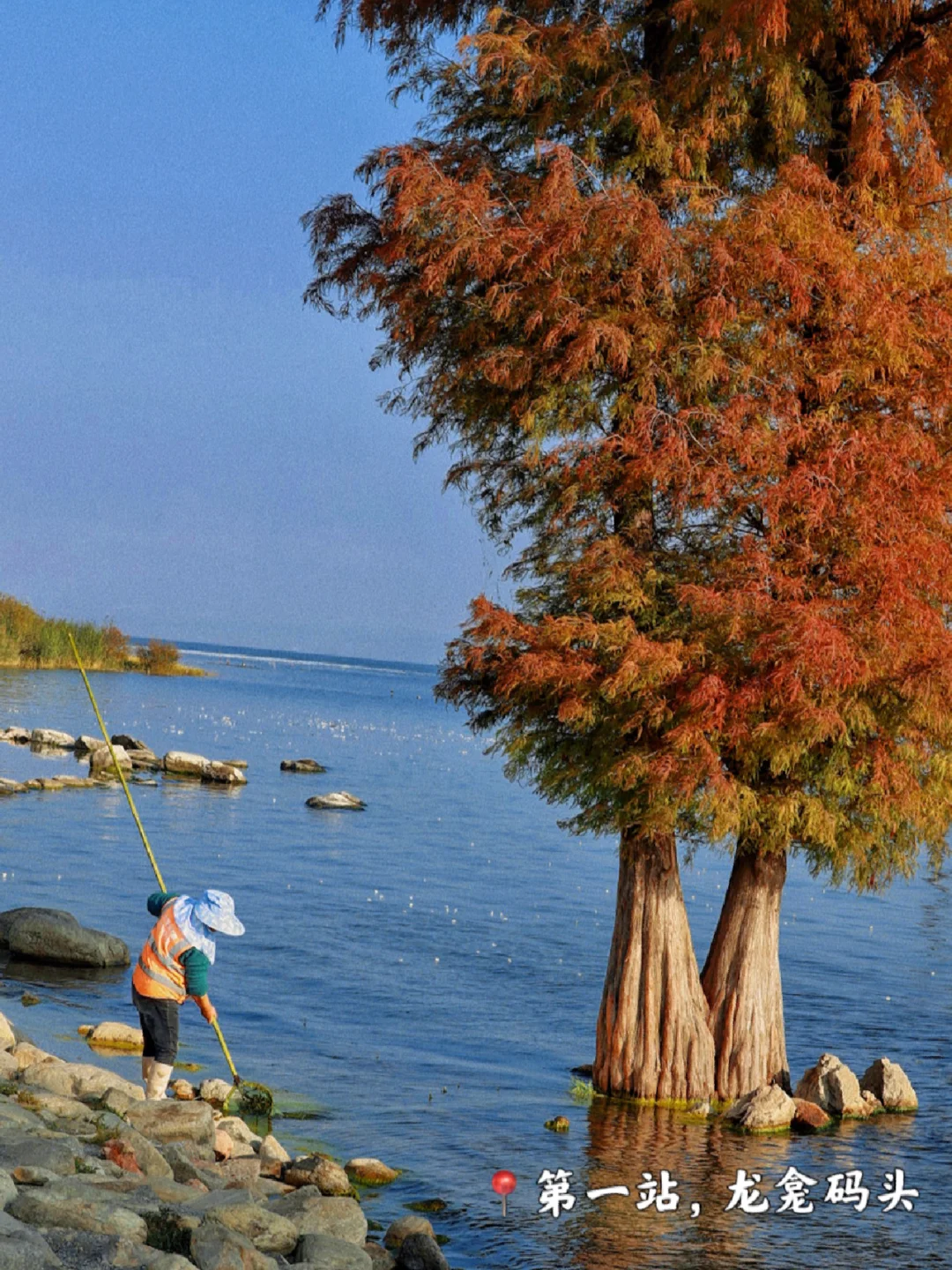 大理旅居Day9⃣️ ｜坐车环洱海路线最全攻略篇