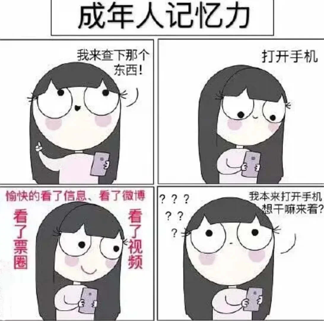 我那支离破碎的记忆力