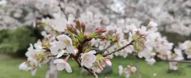 牛市里散户最优的策略是捂股。我记得在2007年，牛市里有这样一个新闻，有一个大妈