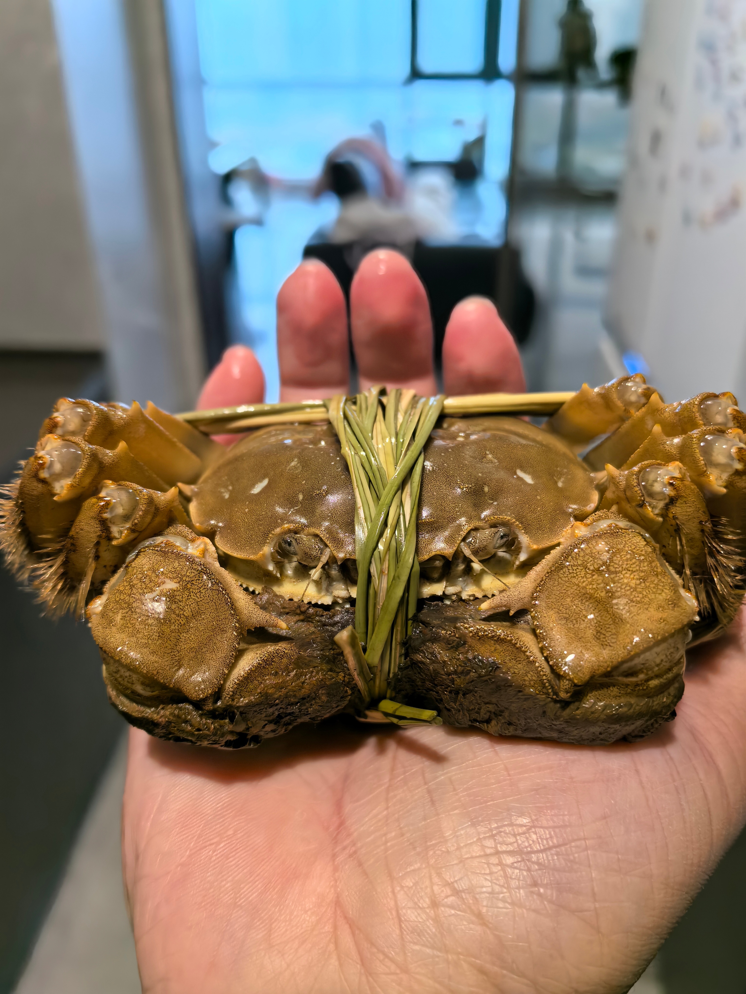 老陈的投喂满黄满膏，蒸一半熟醉一半，完美 我更喜欢蟹膏有和我一样的朋友吗？ 成都