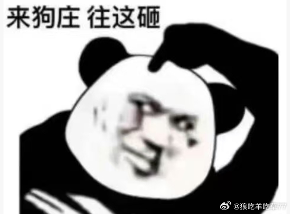 他娘的 是不是 骗子，是不是二愣子，坑货都区分不了 还炒什么锤子股啊你们见过心术