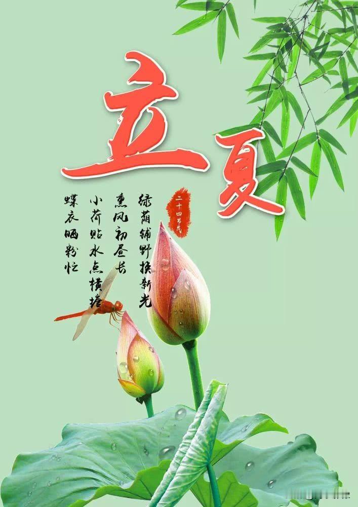 “立夏吃四宝，不往医院跑。”

这句话，你肯定听过。但如果你问我：**“四宝”到