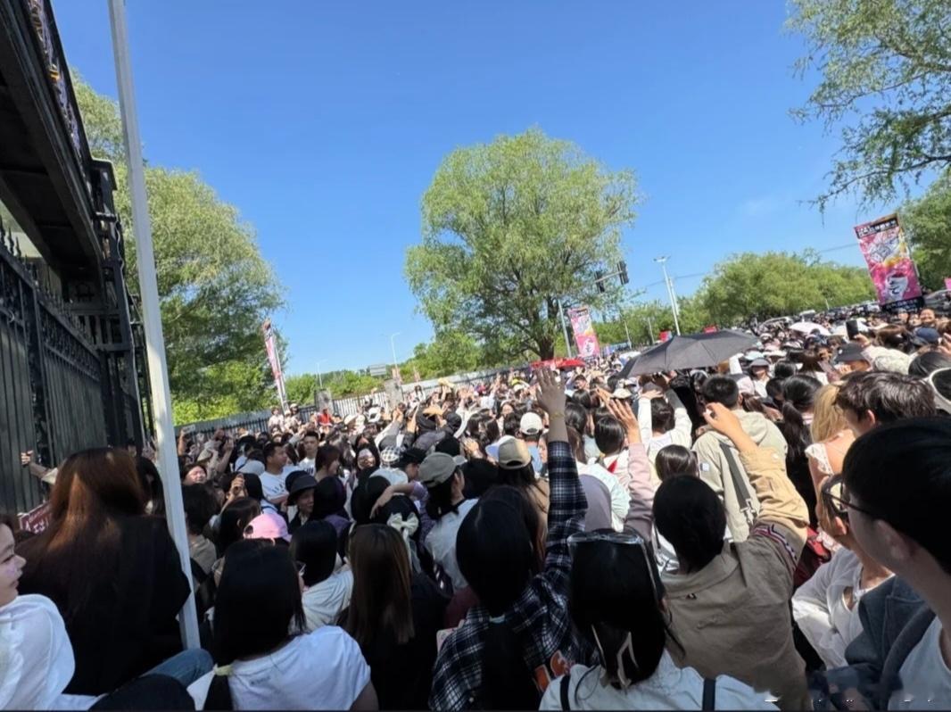啊啊啊今天五一元气森林音乐节场大家一定要注意安全啊啊，人已经和我想象的一样多了[
