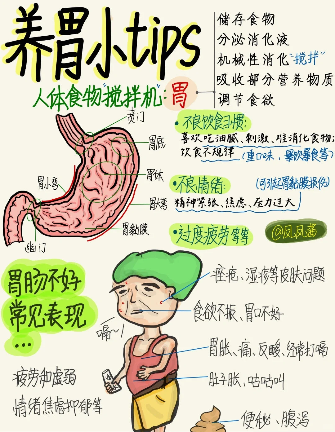 📖手绘笔记|养胃小tips建议点赞收藏