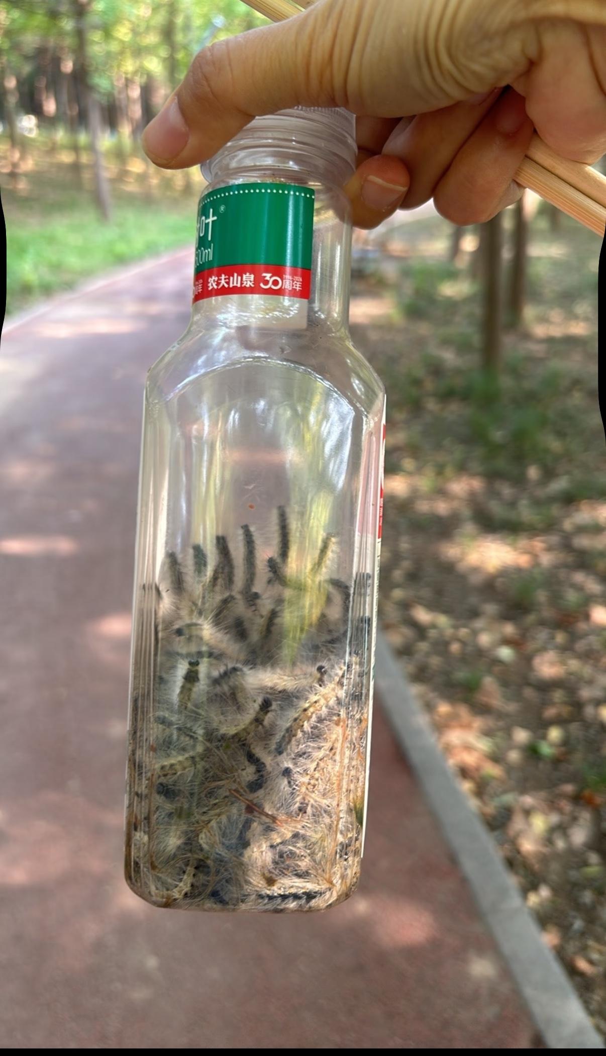 现在公园里多了很多杜娟侠[笑哭]遛弯一小时，功德一瓶子