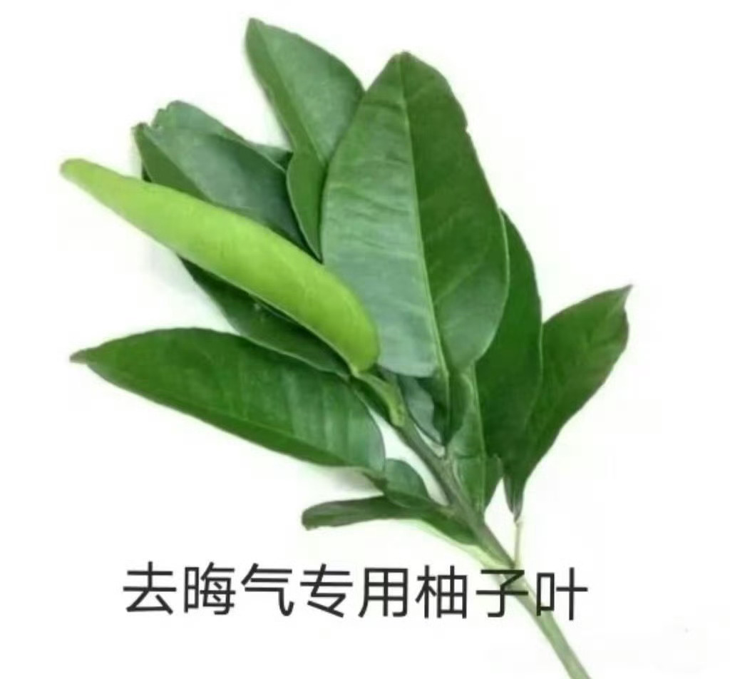 法嘉来去去晦气。