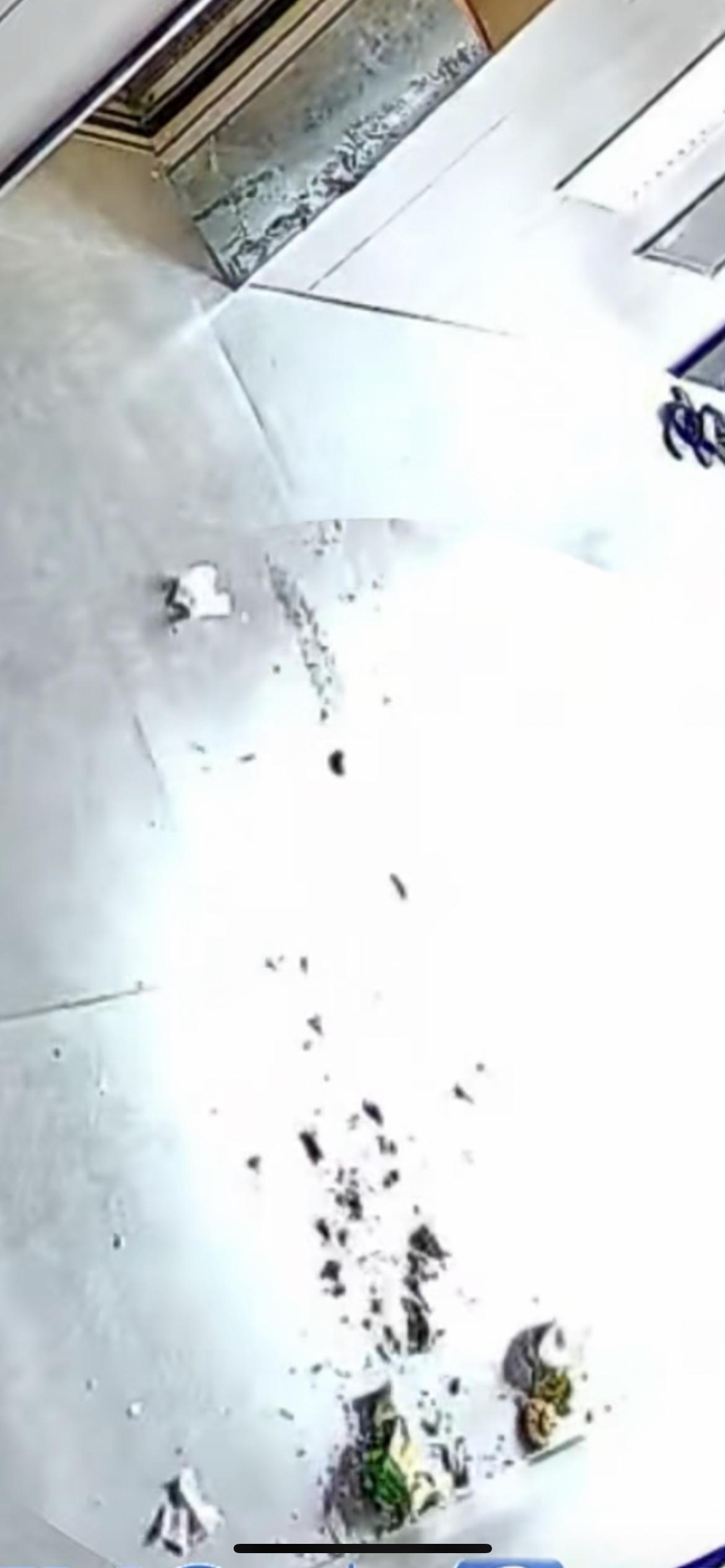 12月23日，广东一名外卖骑手因餐品超时被顾客拒收，情绪失控将外卖砸向顾客家门口