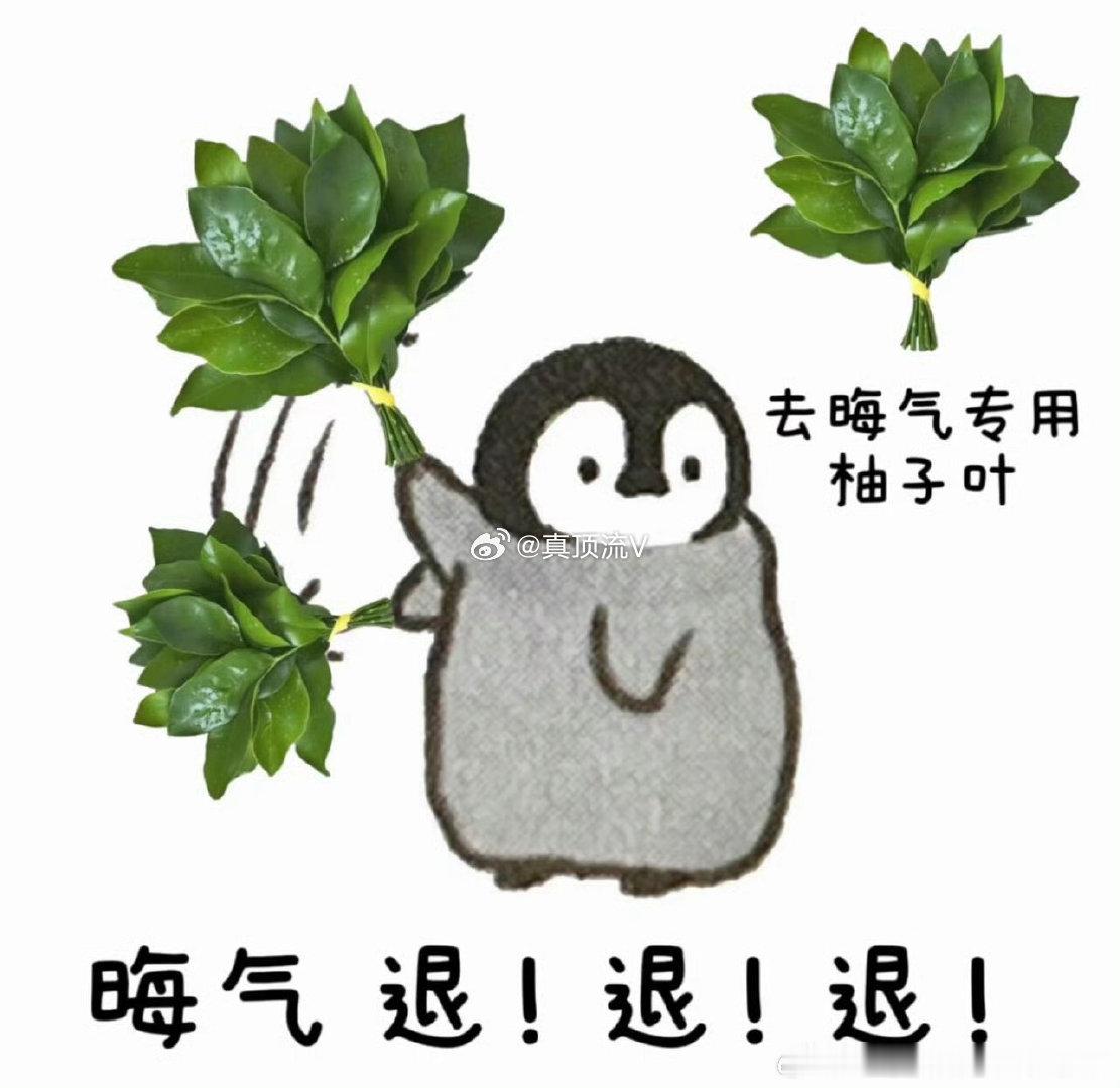 梓渝粉丝又去九成美那团建了！田栩宁 九成美