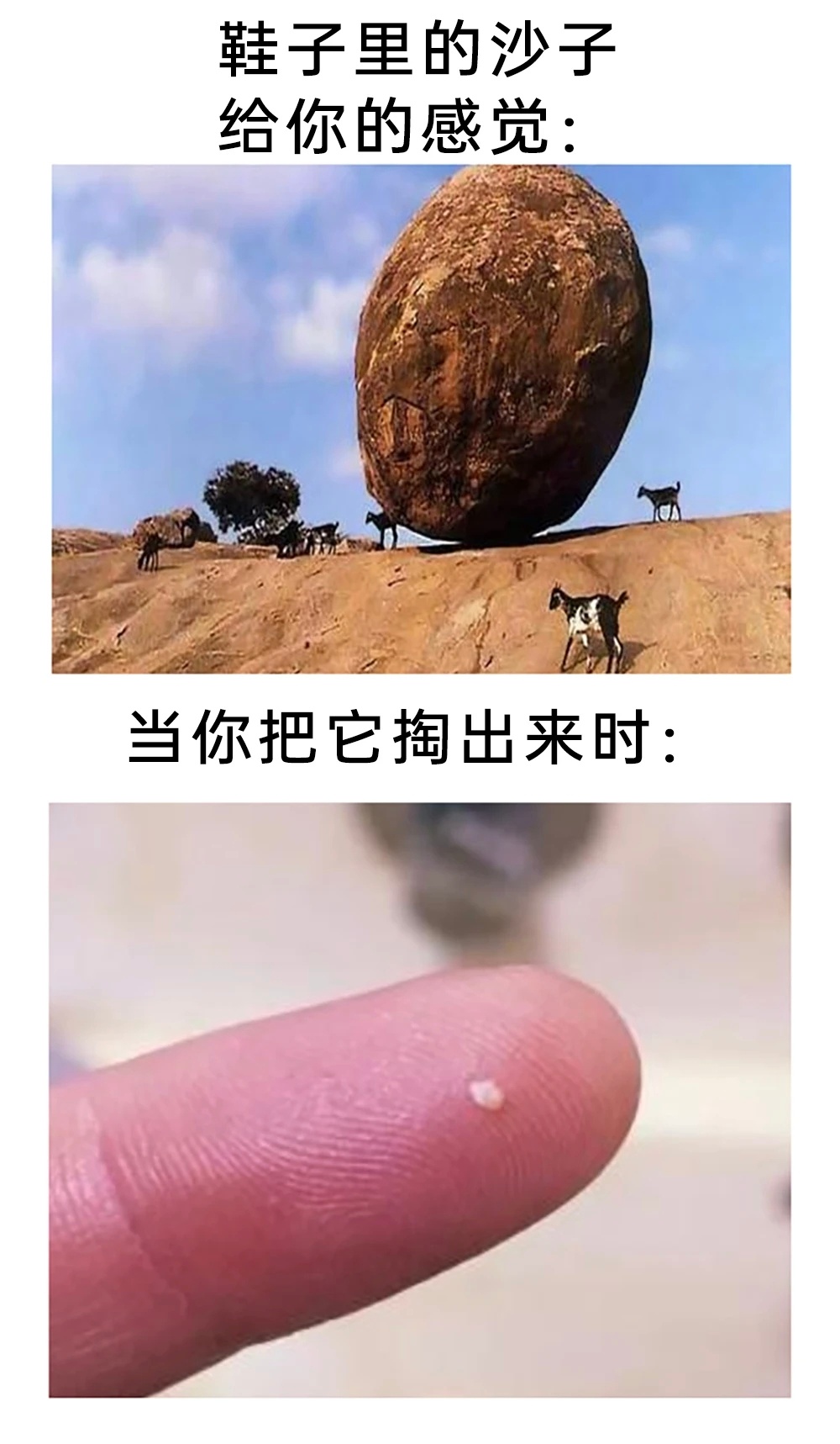 那些微不足道的小事 总会无休止地消耗人的精力 ​​​