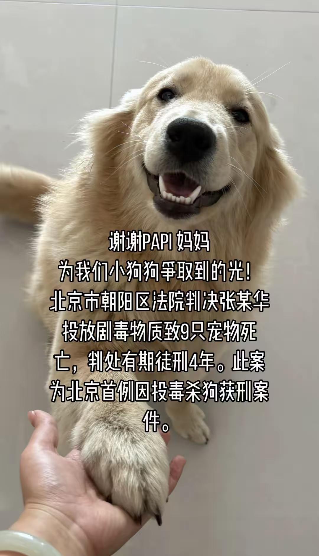 养狗人终于扬眉吐气了一回 。要是用这份执着对待她父母亲人，那才是人之常情！
然而