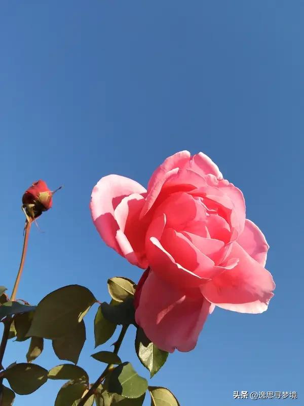 人这一辈子，什么最值钱？有人觉得是钱、权、名。但活久了就会懂，最值钱的是些无形的