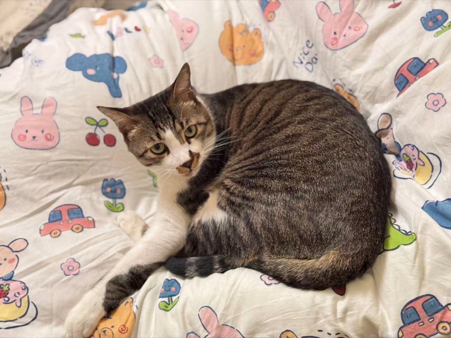 签到签到签到终于周四了，好好休息一下           