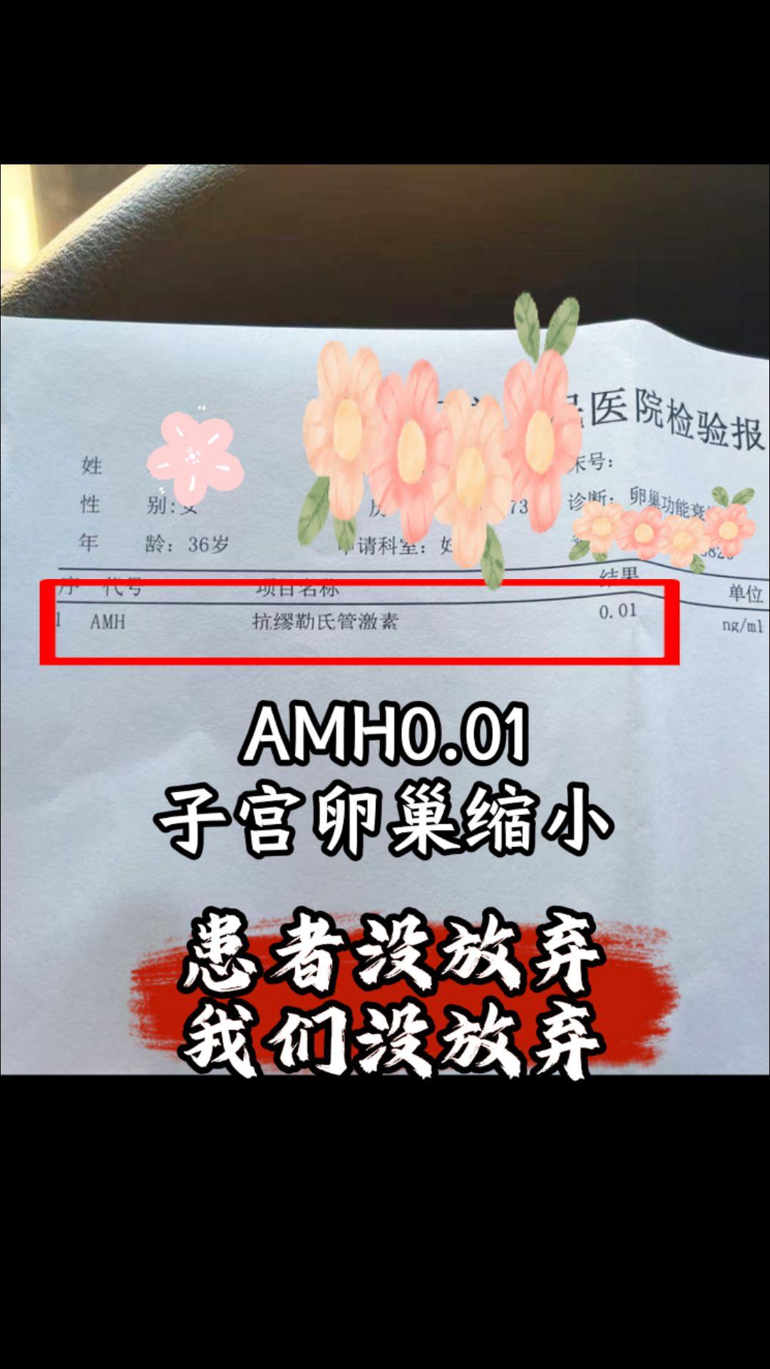amh低，患者没放弃，我们没放弃。希望大家都能积极治疗，积极面对