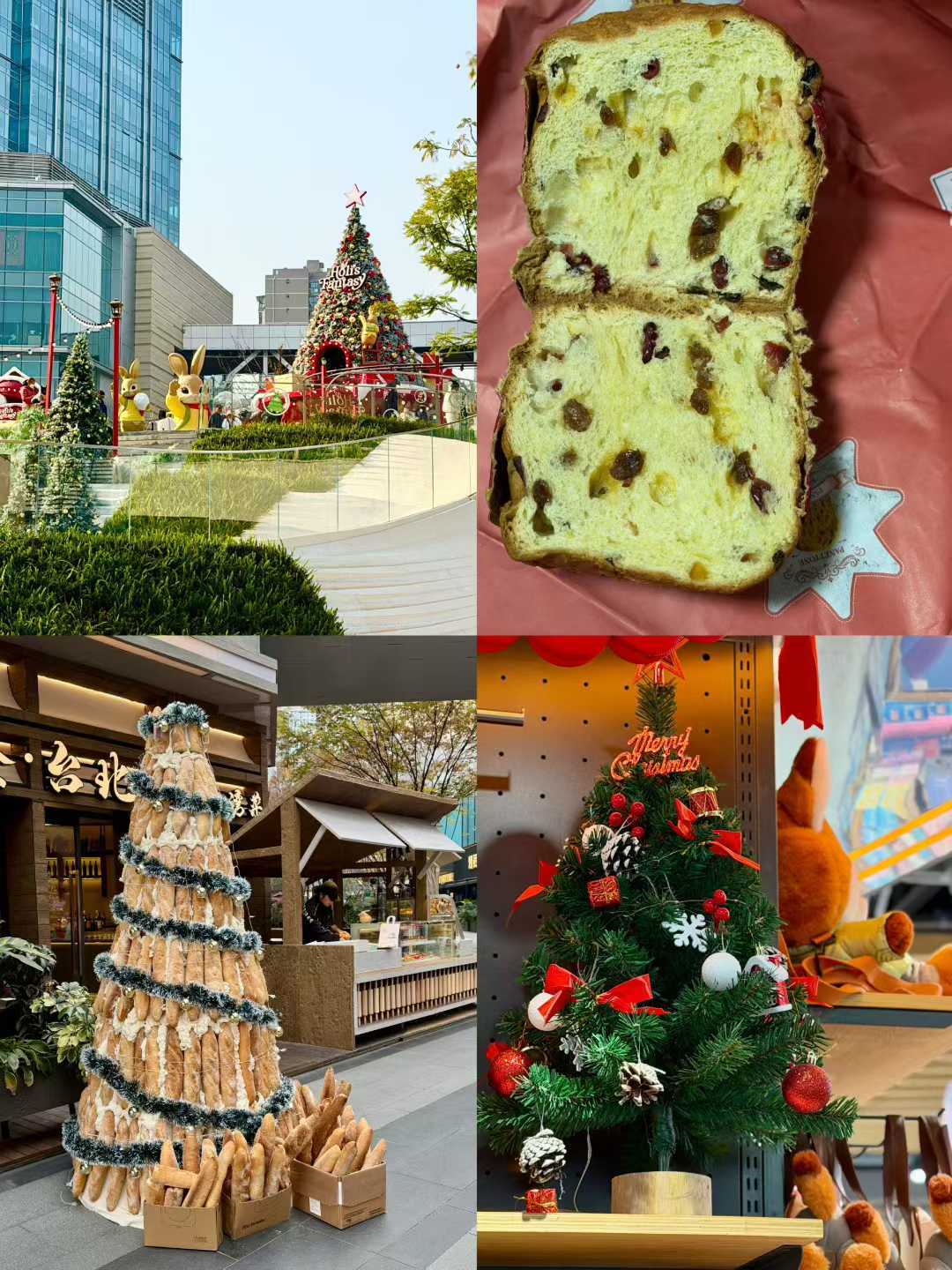 迟到的圣诞库存健身日记 -成都的🎄和今年吃到的第一颗潘 生活碎片 -🇲🇾的