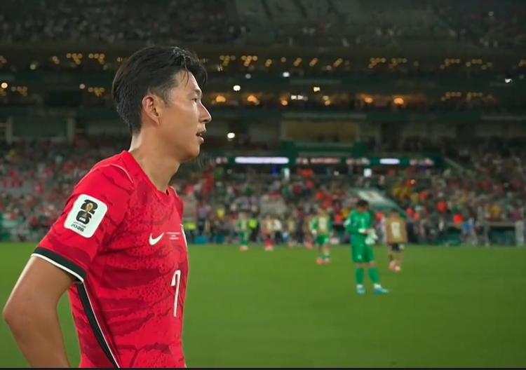 韩国队本来形势大好的，结果对南非时，韩国队是一路装死的，不怎么攻，任由南非来攻。