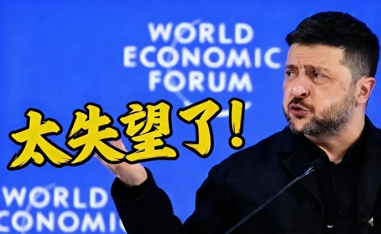 泽连斯基前脚刚抱怨援助太慢，欧洲后脚就甩出来个8000亿美元的“王炸”。

但这