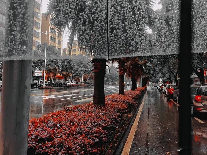 外面现在又下雨了
淅淅沥沥的响在窗外
好像不知道停歇
下雨前
是有征兆的
天空阴