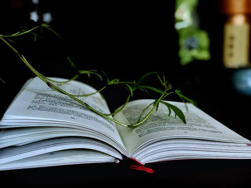 读书可不只是为了混个学历，它是立德做事做人和为国为民服务、报效祖国的大事。读一本