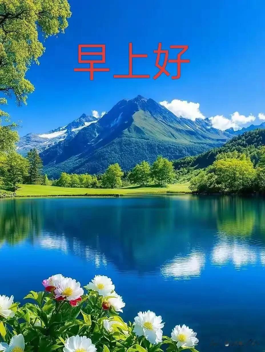 早安，新的一天，愿阳光铺满你所有好心情。