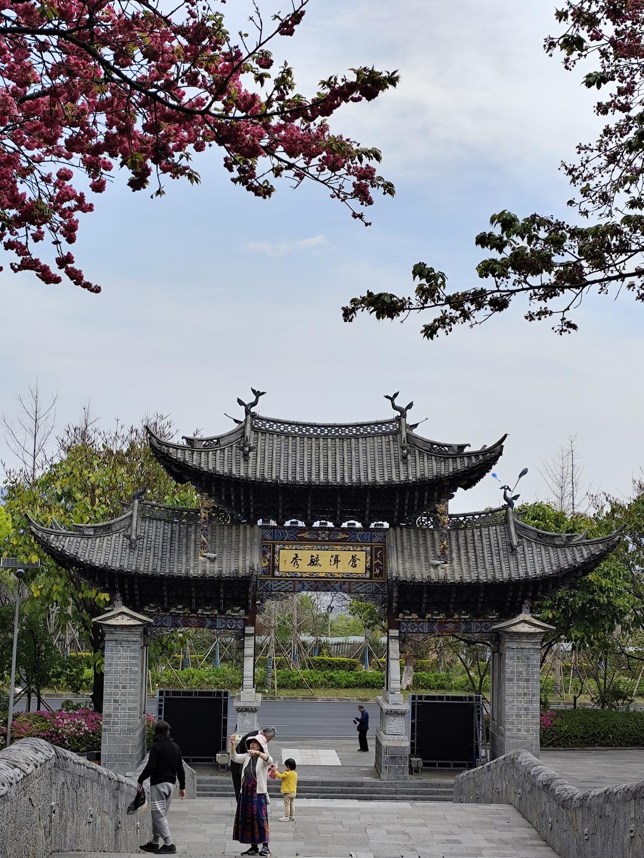 樱花山水间
  治愈系风景大理 春天大理 大理风光摄影 大理古城赏樱花 大理苍山