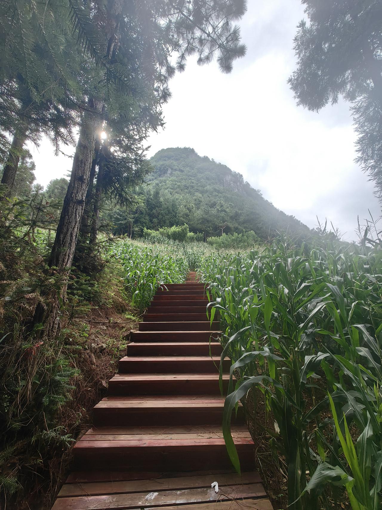 北交所新股发行三连发？
    根据官宣和网传，下周一杰理科技申购（官宣），下周