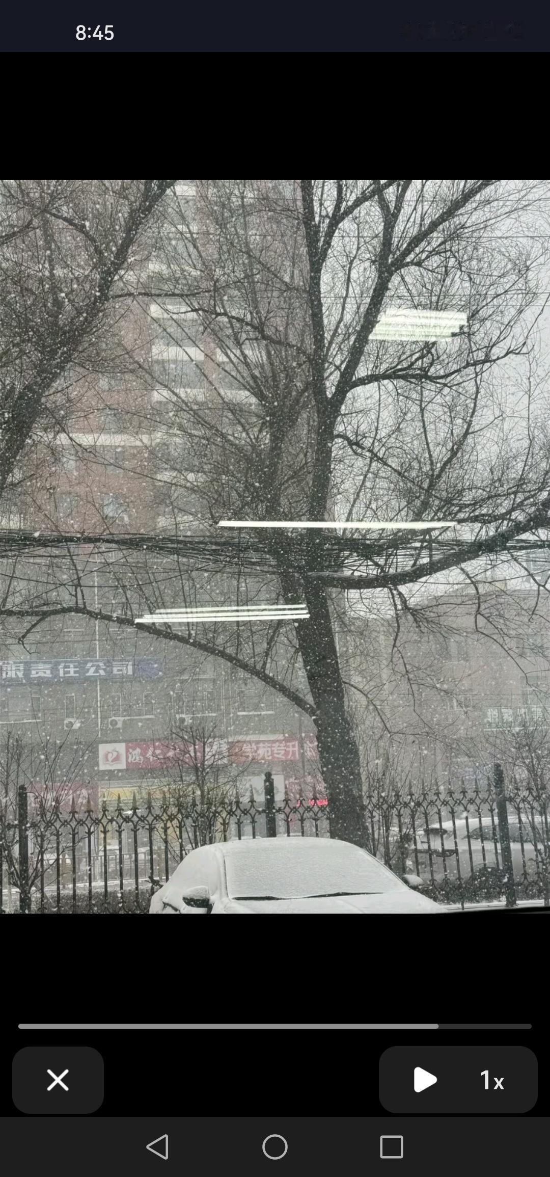 10月16号，吉林白城迎来了今年的第一场雪。瑞雪兆丰年，这可是个极好的兆头！
昨