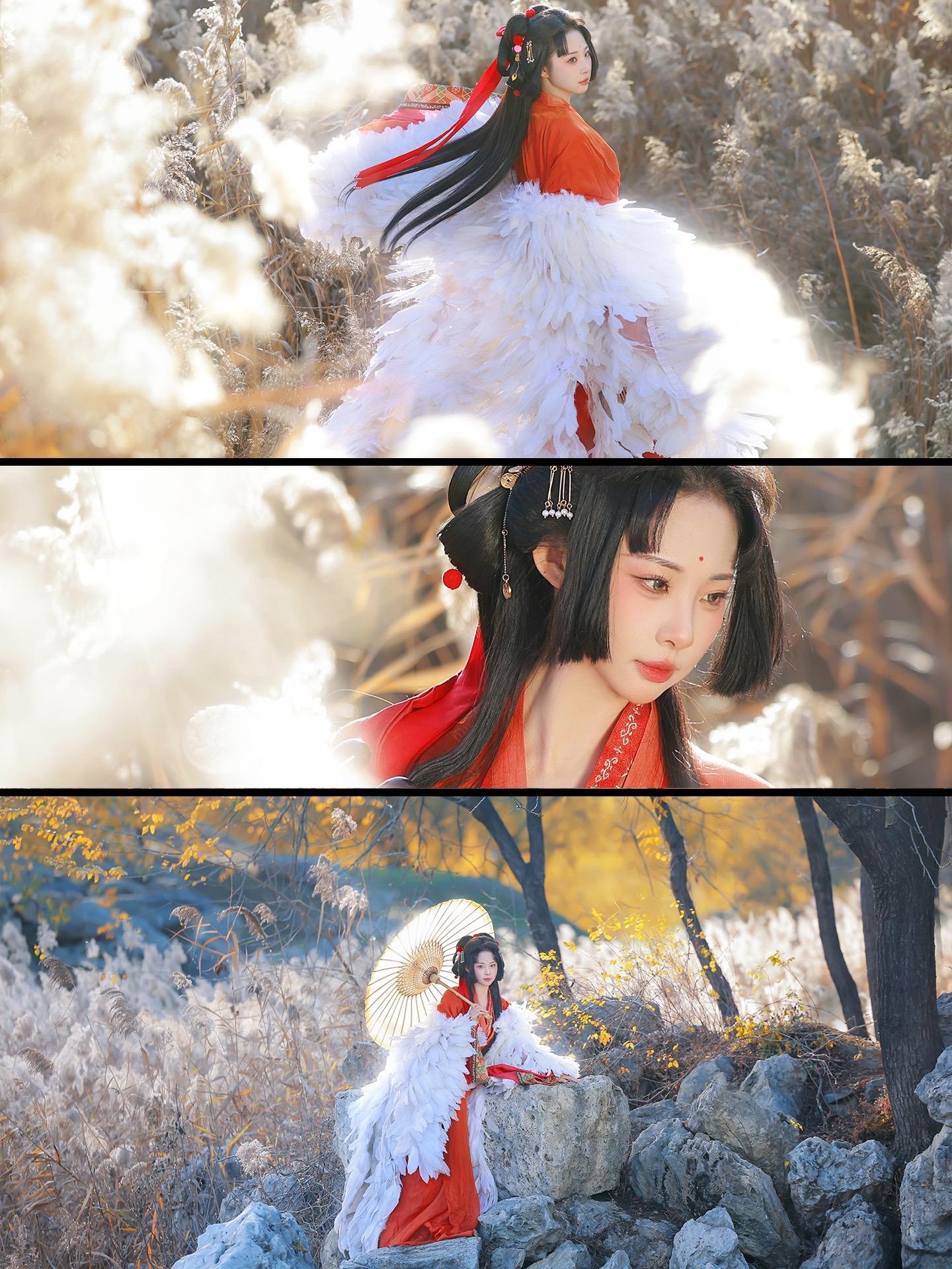 愿许秋风知我意 『客』。