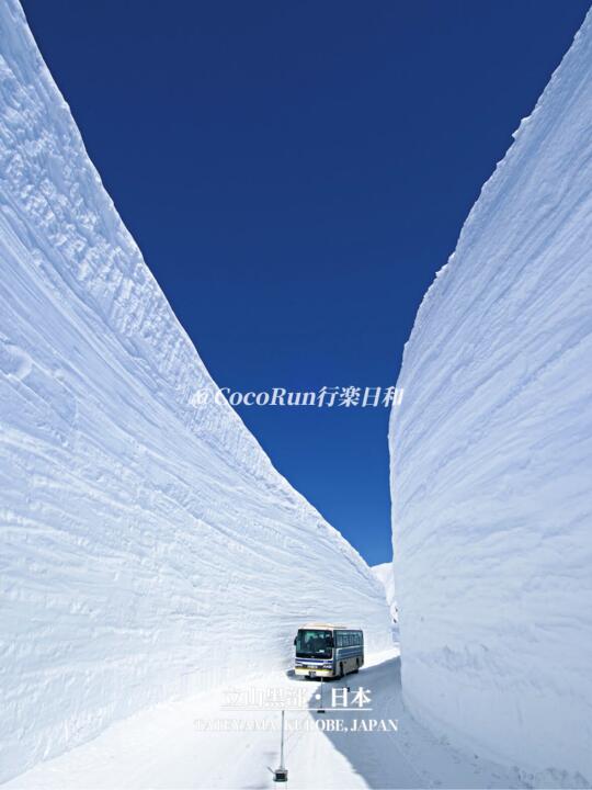 没有代餐❗立山黑部震撼大雪墙超全攻略✅