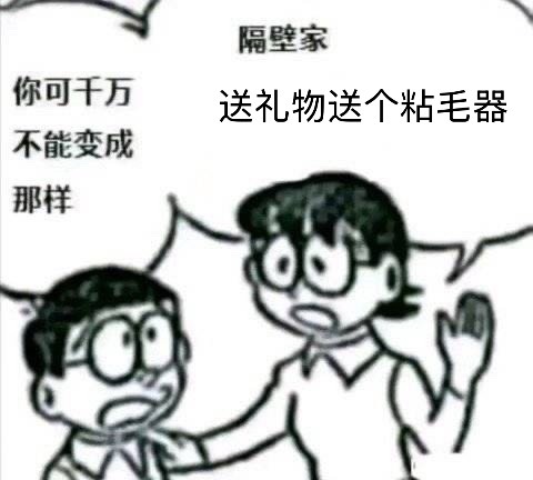 不知道 反正我送人礼物不送粘毛器 