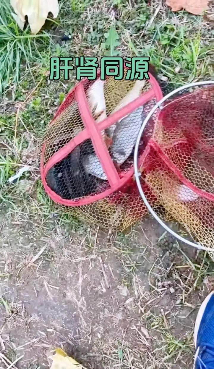 底薪加盟76人！詹姆斯降薪4875万开启生涯最后冲冠41岁传奇不为金钱只为戒指，