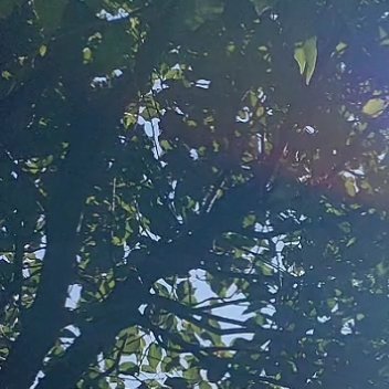 让阳光住进心里，每一天都是美好的开始。即使生活时有阴霾，也要相信阳光终会穿透云层