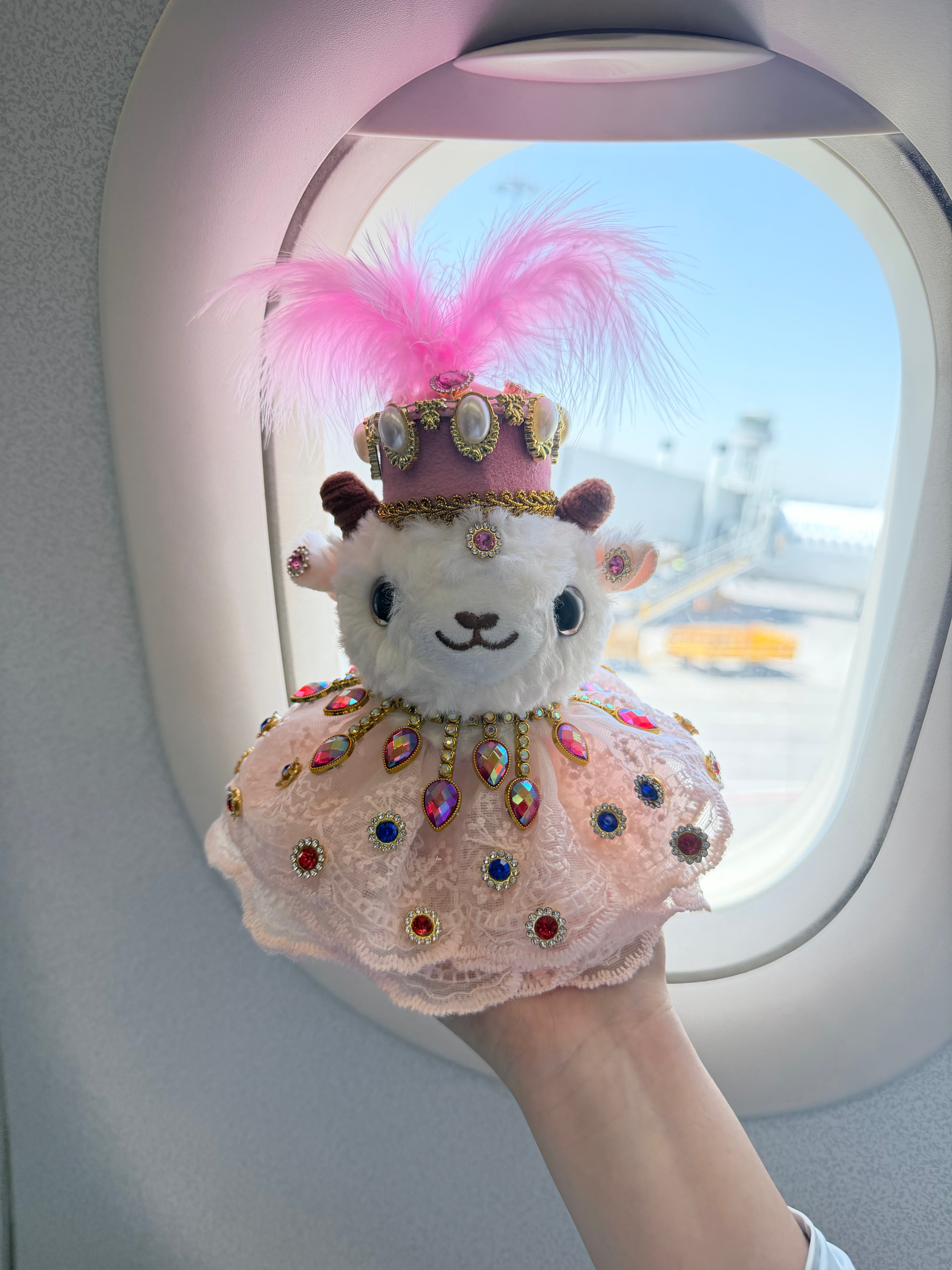 肥羊🐏陪我✈️  回杭州了新疆👋🏻 下次有机会去阿勒泰和南疆玩 