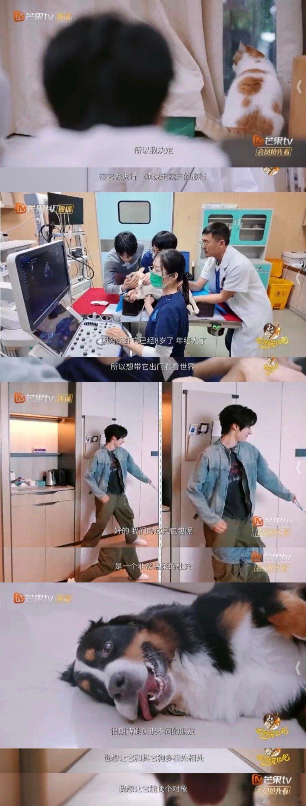 周一不光有出发还有宠ta 梓渝“出发～”点燃周一激情，如今《你就宠ta吧》综艺来