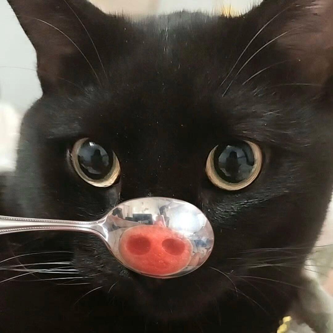 分享图片 