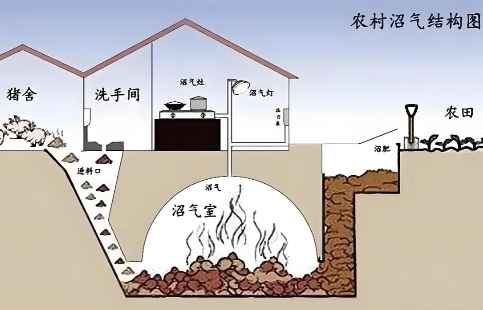 二十年前，一种叫“沼气池”的神器曾席卷中国农村，被国家大力推广，风光无限。明明是