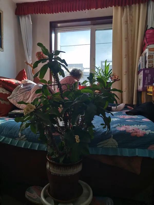 和儿子儿媳同住不快乐，这事儿太能感同身受了！很多老人觉得住一起能热闹点，可现实是