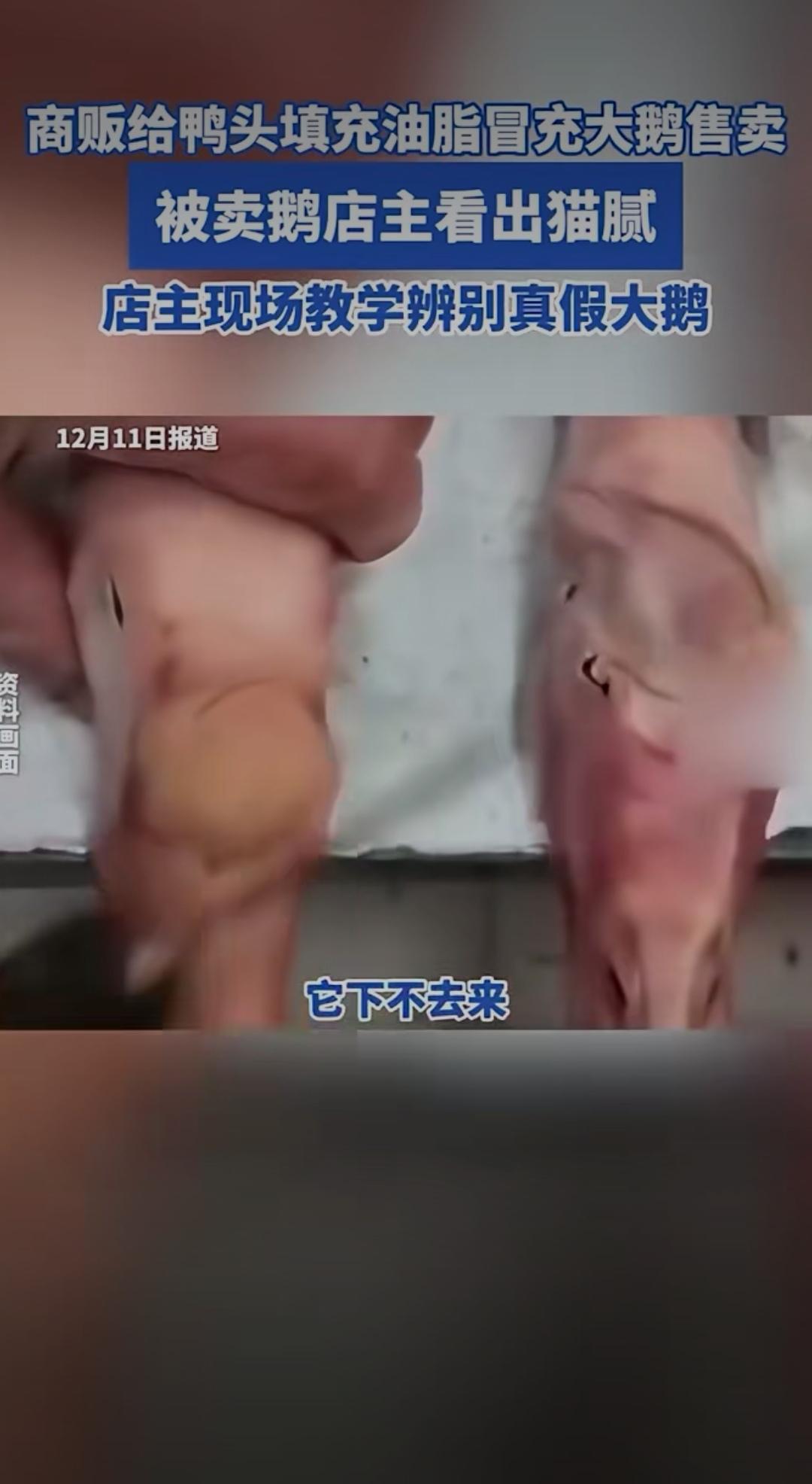 鸭头灌油充大鹅？商贩的小聪明，终究败给了良心店主！以鸭充鹅 
 
商贩给鸭头填充