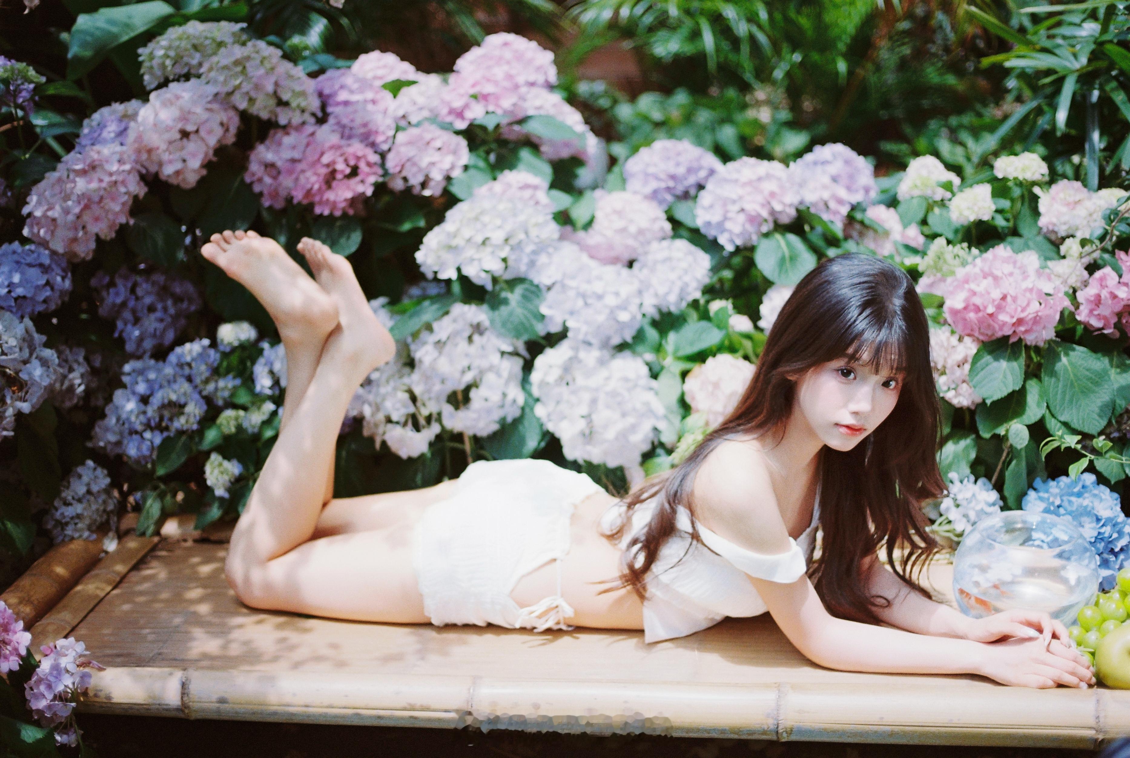 热带夏 