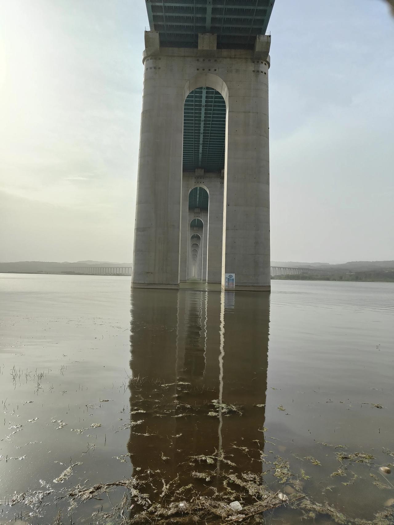 春日生活打卡季三门峡天鹅湿地公园，春意盎然，繁华似锦；飞桥连南北，豫晋变通途，壮