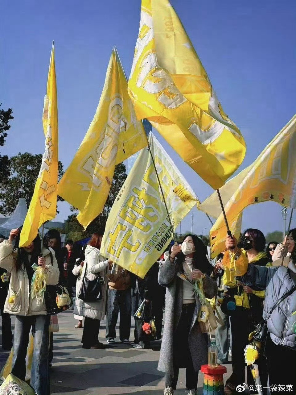 田栩宁柠檬水的应援，清一色的柠檬色💛燥候田栩宁田栩宁F1活动 F1