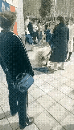 终于知道她老公为什么去找“小三”了。

看看这位原配(宝蓝色套裙)有多彪悍: 她
