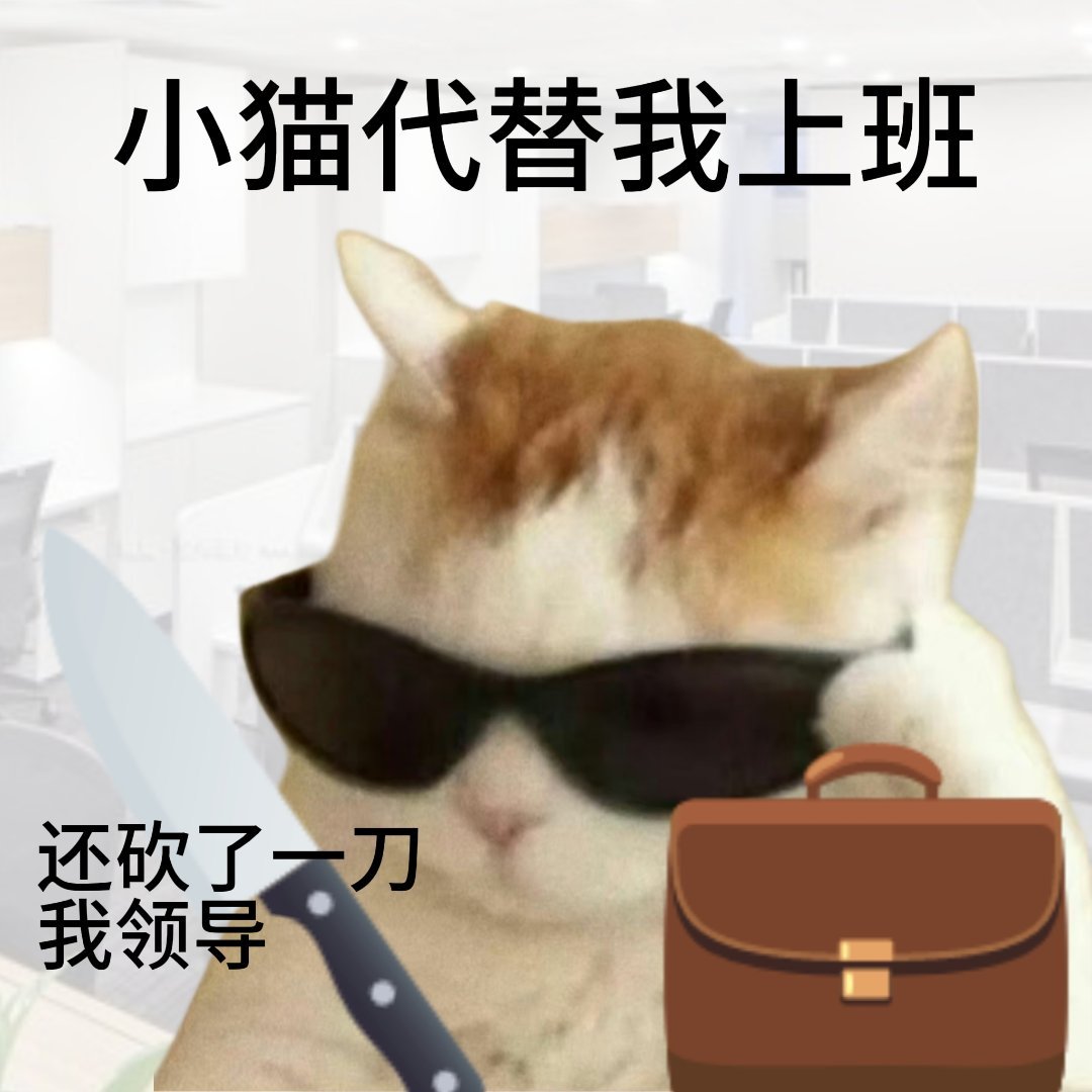 好猫好猫，跟我说谢谢小猫～ 